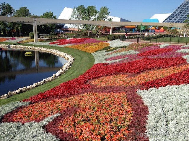 epcot-flower-and-garden-2012-15