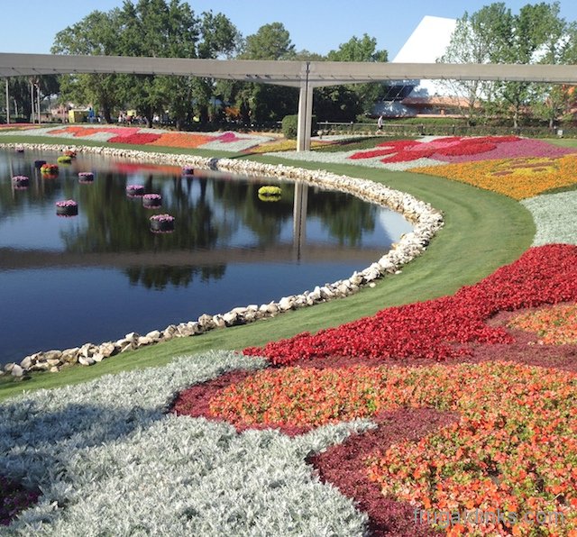 epcot-flower-and-garden-2012-16