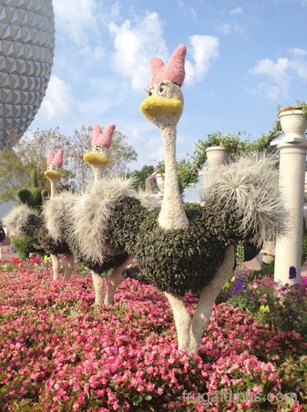 epcot-flower-and-garden-2012-7