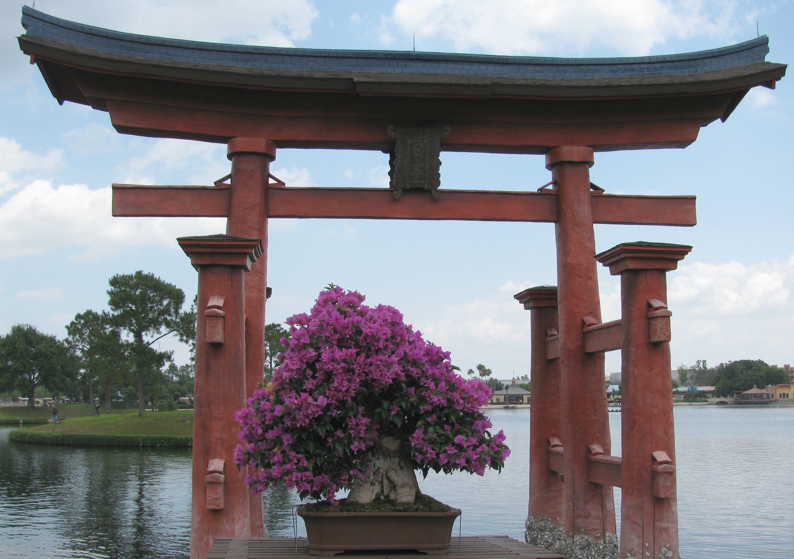 2011-epcot-flower-garden-festival-62