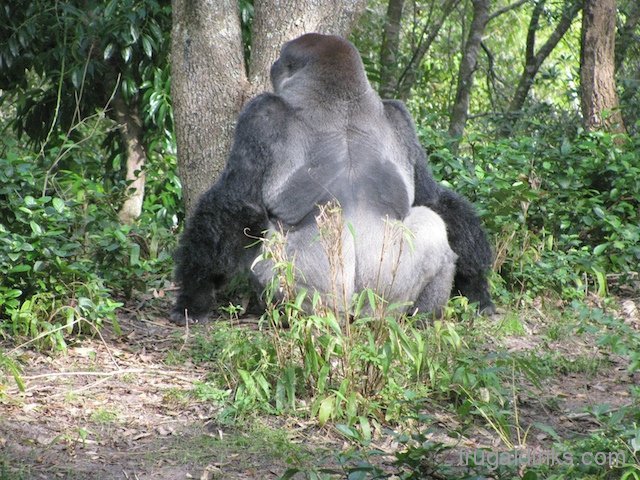 wild-africa-trek-2011-46