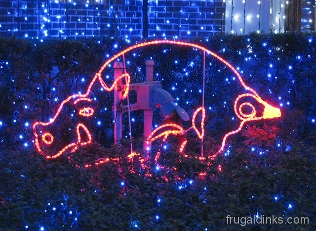 osborne-lights-2011-24