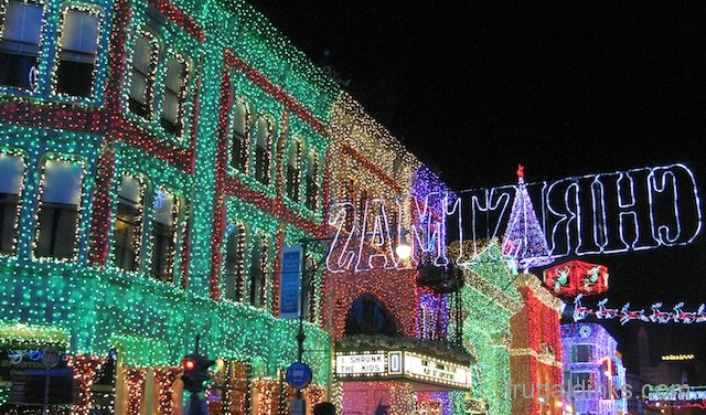 osborne-lights-2011-4