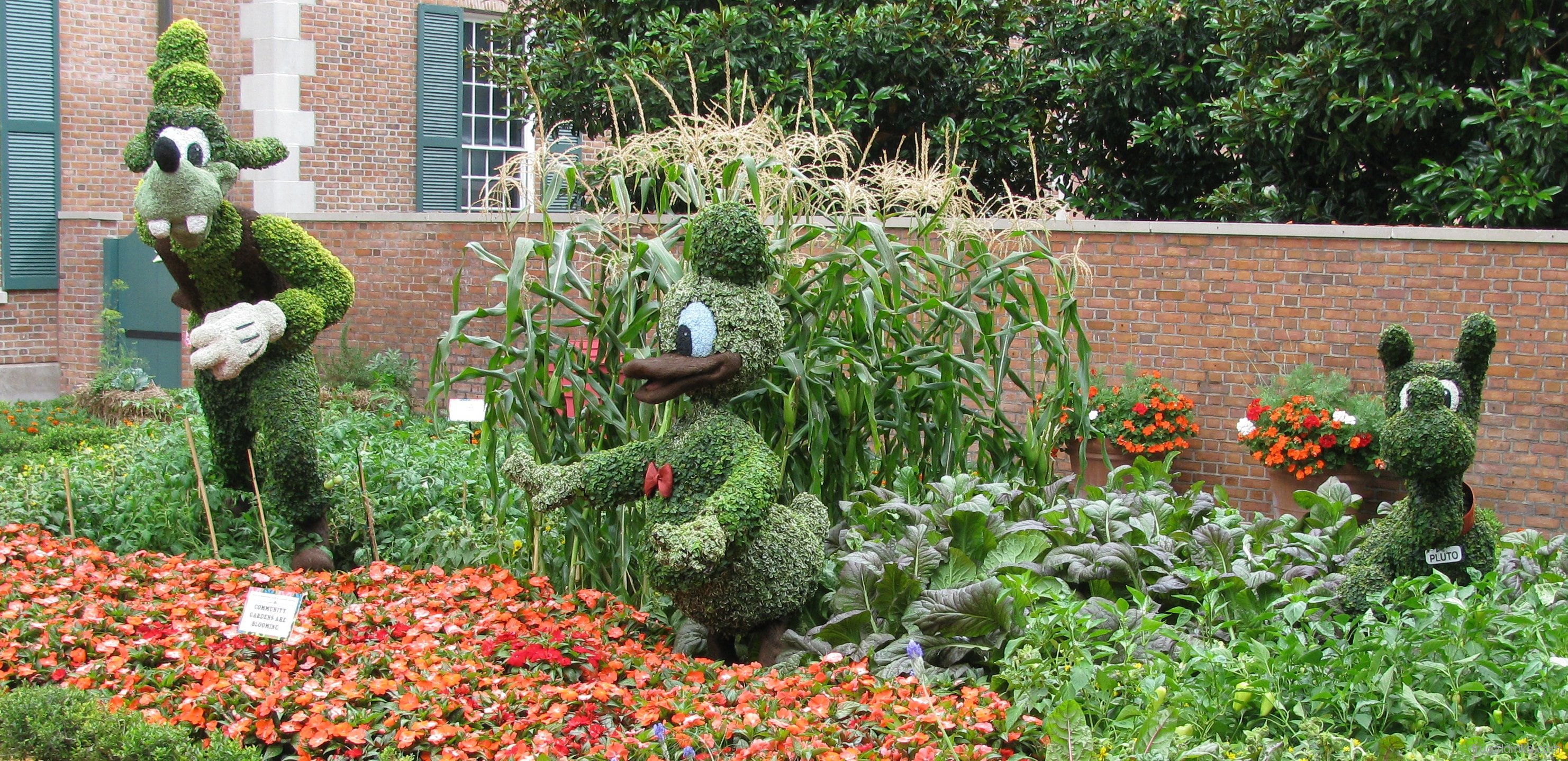 2011-epcot-flower-garden-festival-49