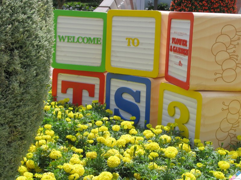 2011-epcot-flower-garden-festival-6