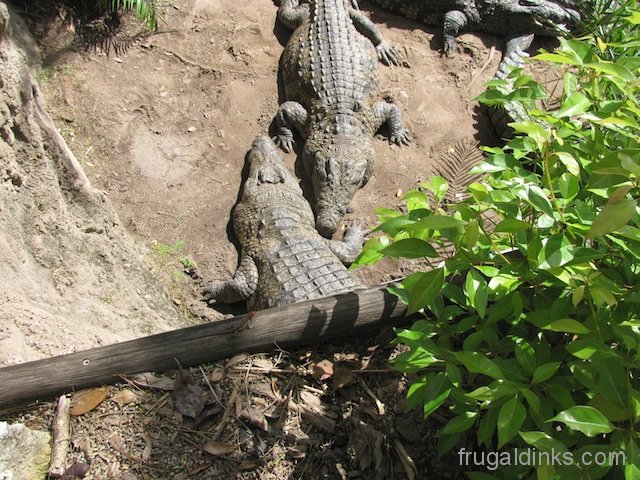 wild-africa-trek-2011-17