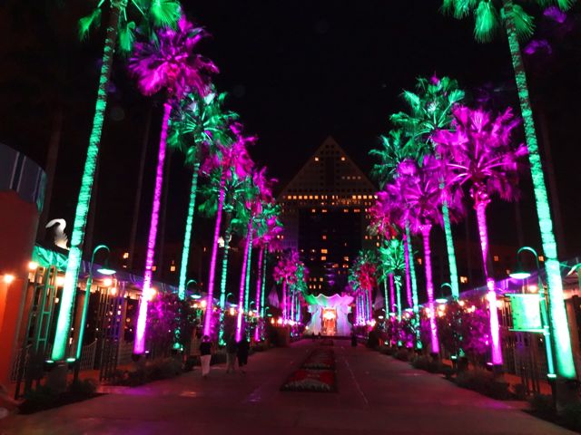 2012 Holiday Decorations - Causeway between Swan & Dolphin Resorts - Walt Disney World - 07