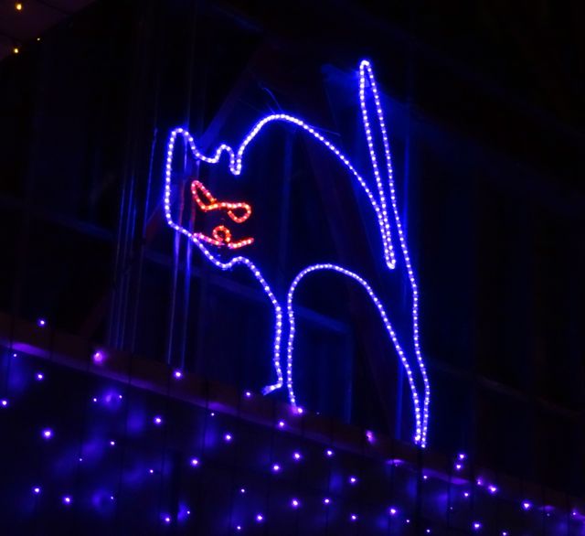 Details from The Osborne Family Spectacle of Dancing Lights 2012 - 08