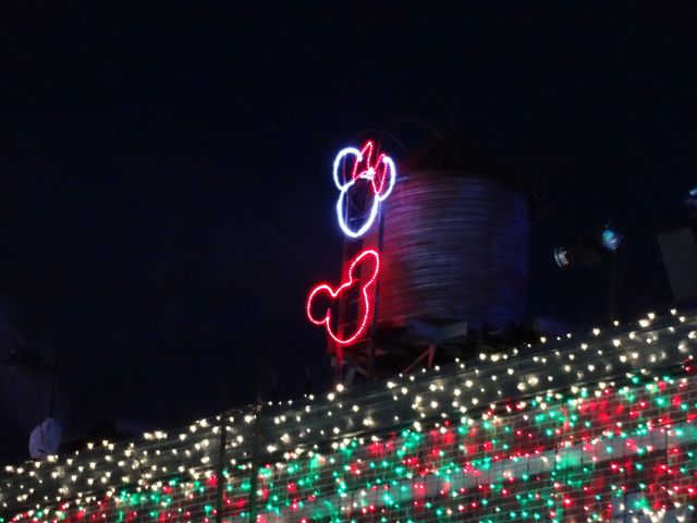 Details from The Osborne Family Spectacle of Dancing Lights 2012 - 25