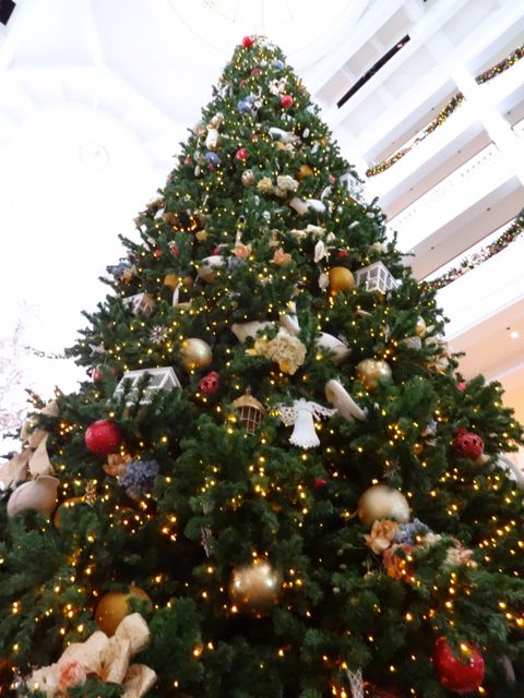 Grand Floridian Resort 2012 Christmas Tree - 4