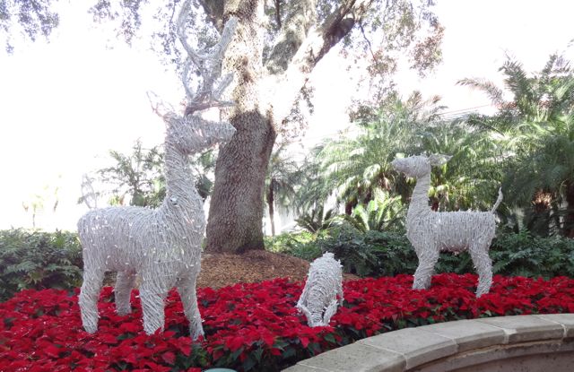 Grand Floridian Resort 2012 Holiday Decorations - 02