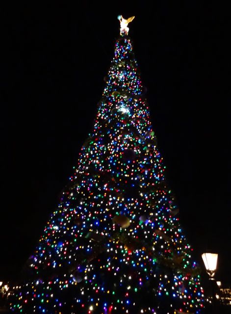 Christmas 2012 Topiary and main decorations at Epcot in Walt Disney World - 07