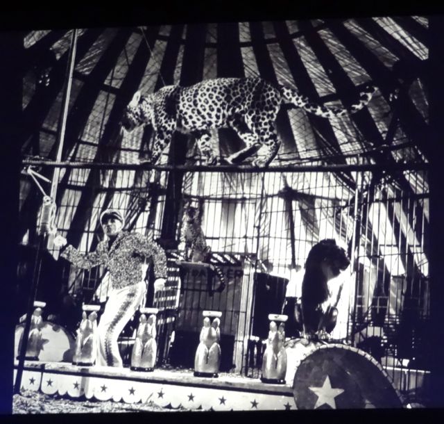 Inside the circus tent