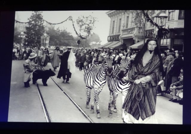 Parade with LIVE animals