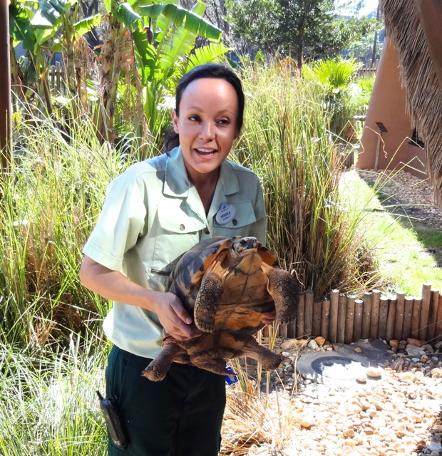 Yaraila holds the tortoise for us to see his underbelly