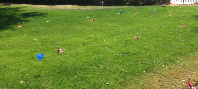 On Sunday, we noticed that there were stakes with numbers and colored flags around the lagoons - we wondered how long it would take to remove the grass and get the flowers planted