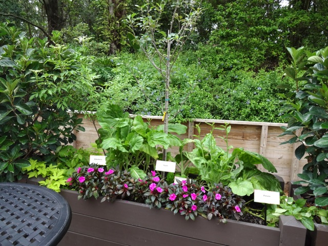 The featured plantings