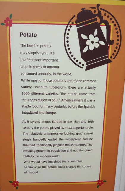 "The Potato"