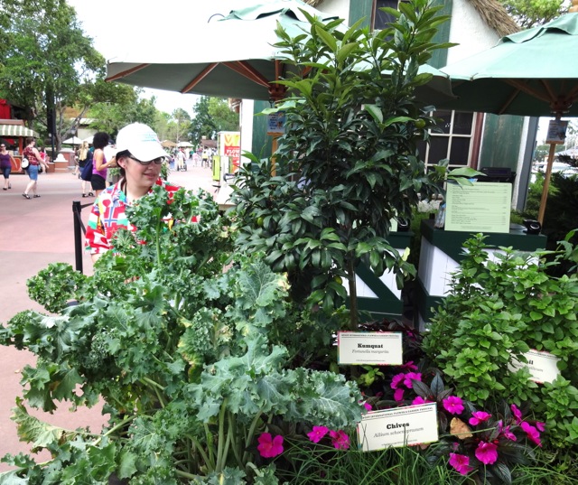 The Cottage Booth at Epcot Flower and Garden Festival 2013 - 03