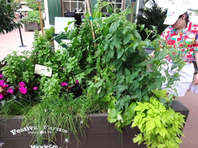 The Cottage Booth at Epcot Flower and Garden Festival 2013 - 05