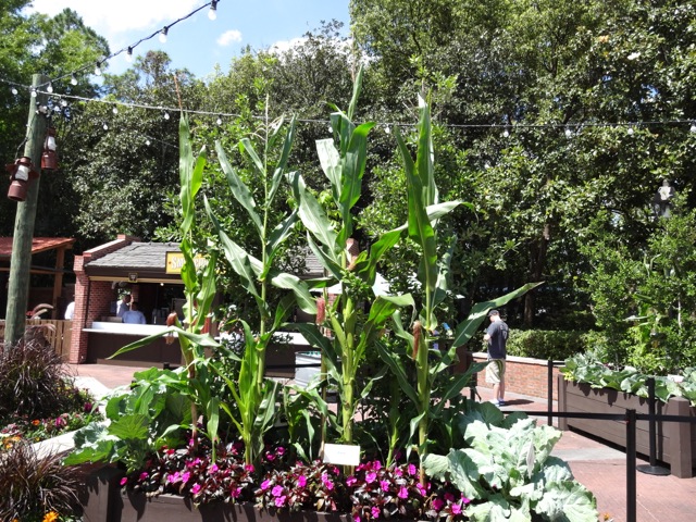 The Smokehouse Barbecue & Brews - 2013 Epcot Flower & Garden Festival - 16