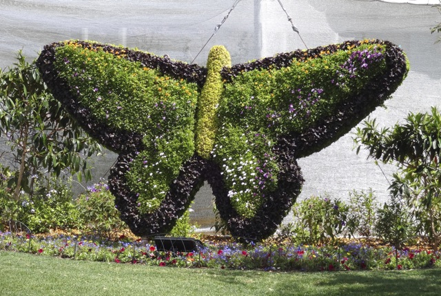 2013 Epcot Flower and Garden Festival Topiary in Future World - 23