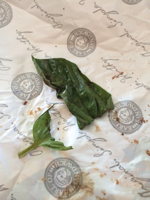 lucky me! only one piece of basil on the sandwich… if I liked basil, I'd be disappointed