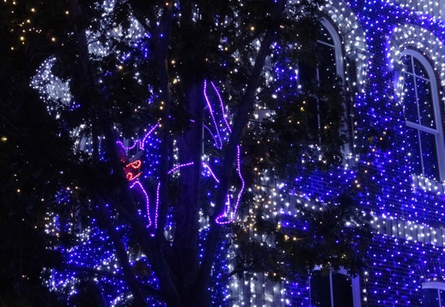 The Osborne Family Spectacle of Dancing Lights November 12 2013 - 15