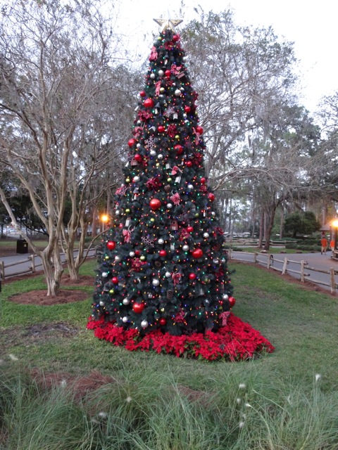 Fort Wilderness Christmas 2013 - 01