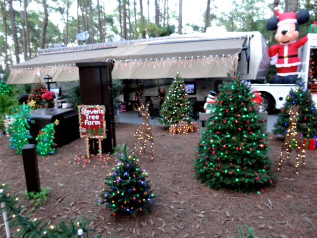 Fort Wilderness Christmas 2013 - 17