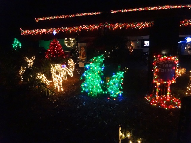 Fort Wilderness Christmas 2013 - 19