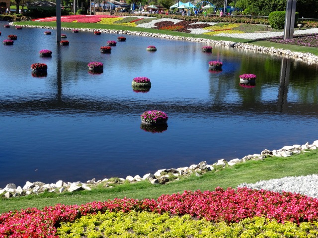 Artistic Plantings around lagoons at 2014 Epcot Flower and Garden Festival - 2