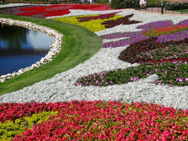 Artistic Plantings around lagoons at 2014 Epcot Flower and Garden Festival - 3
