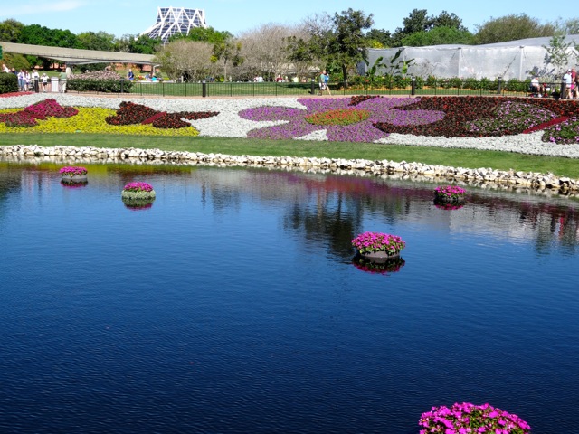 Artistic Plantings around lagoons at 2014 Epcot Flower and Garden Festival - 5