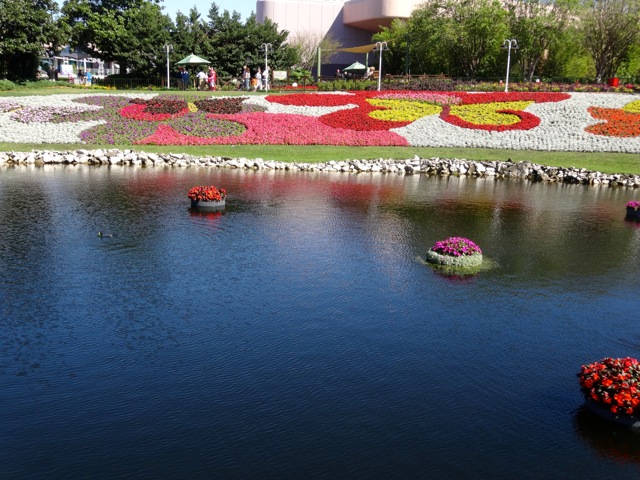 Artistic Plantings around lagoons at 2014 Epcot Flower and Garden Festival - 8