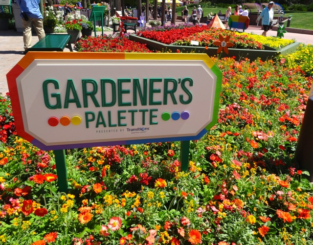 Best flowers and garden scapes at 2014 Epcot Flower and Garden Festival - 11