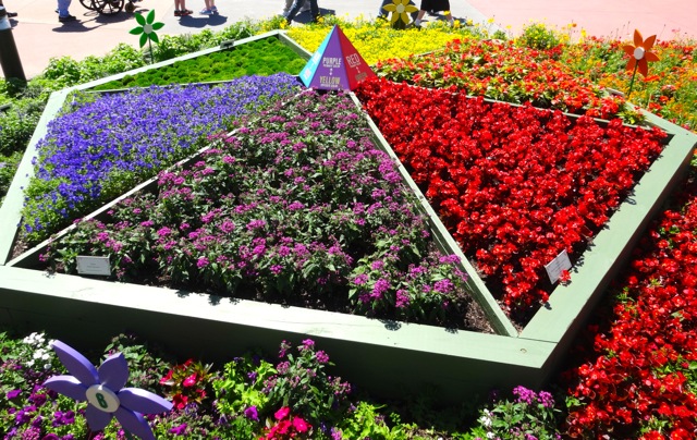 Best flowers and garden scapes at 2014 Epcot Flower and Garden Festival - 13
