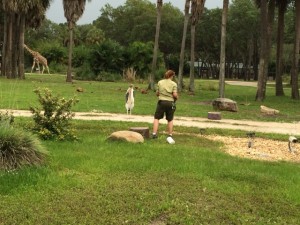 Lunch with an Animal Specialist with Lisa & Andy 14MAY2014 - 20