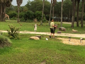 Lunch with an Animal Specialist with Lisa & Andy 14MAY2014 - 21