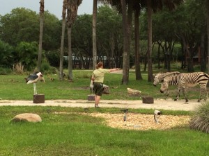 Lunch with an Animal Specialist with Lisa & Andy 14MAY2014 - 26