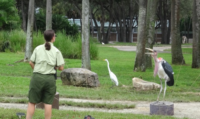 Lunch with Animal Specialist with JMD 140927 - 15