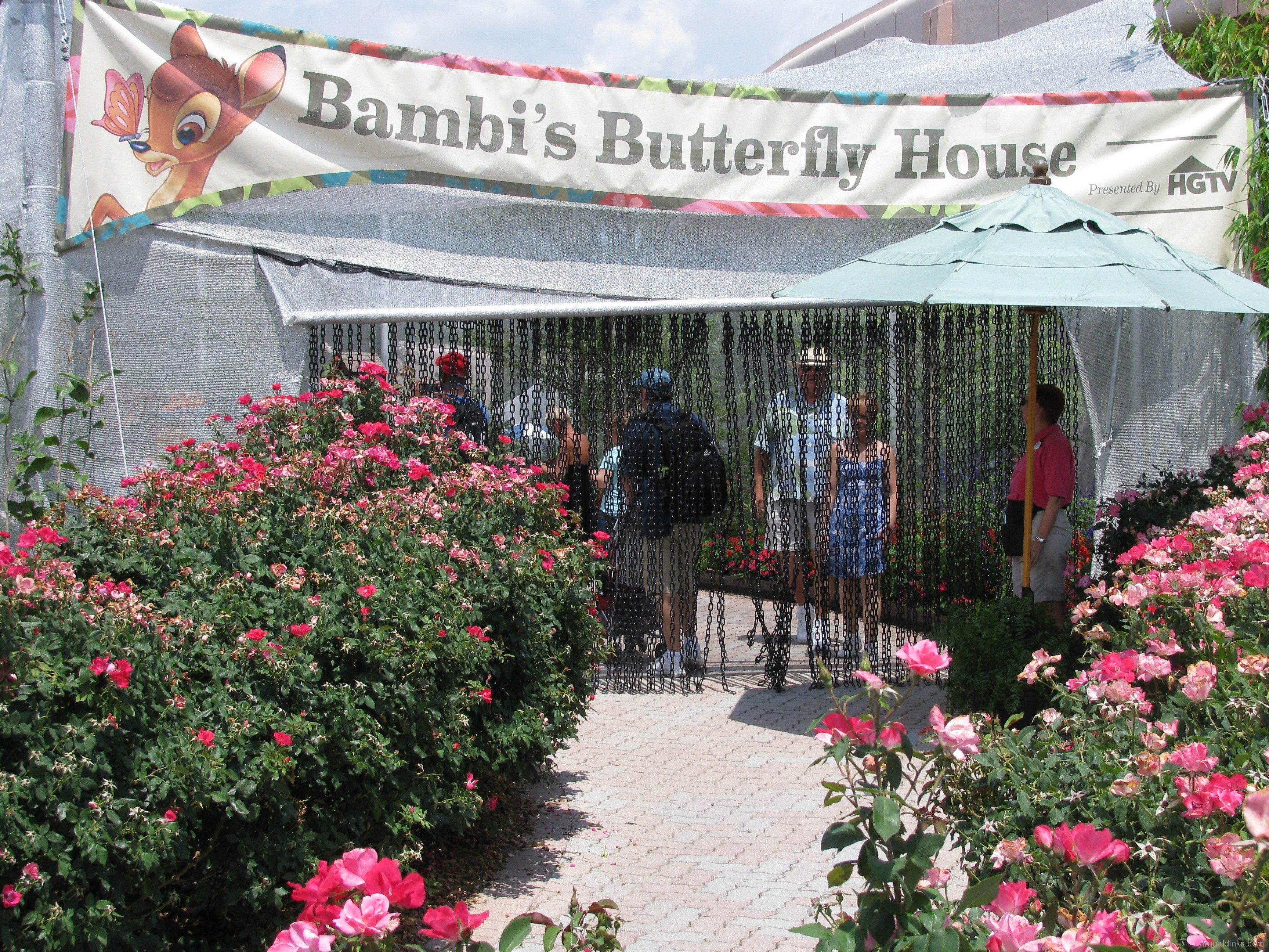 butterfly house « extra walt disney world magic